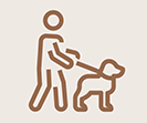 Dog Park